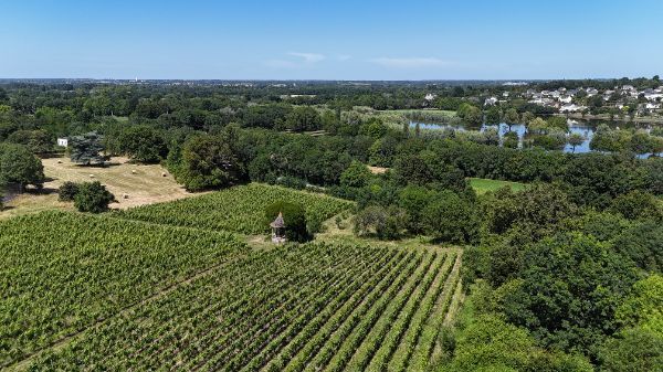 DJI_20240628160346_0074_D (1).JPG