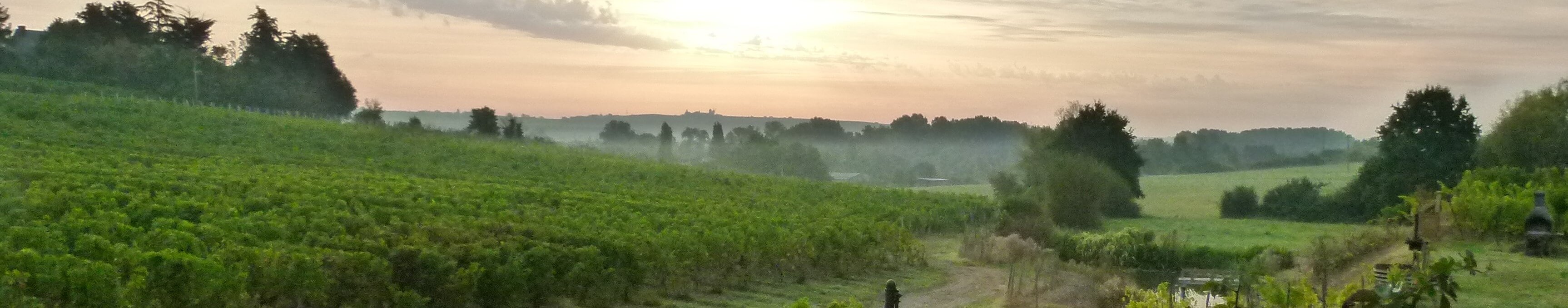 levée de soleil chenin