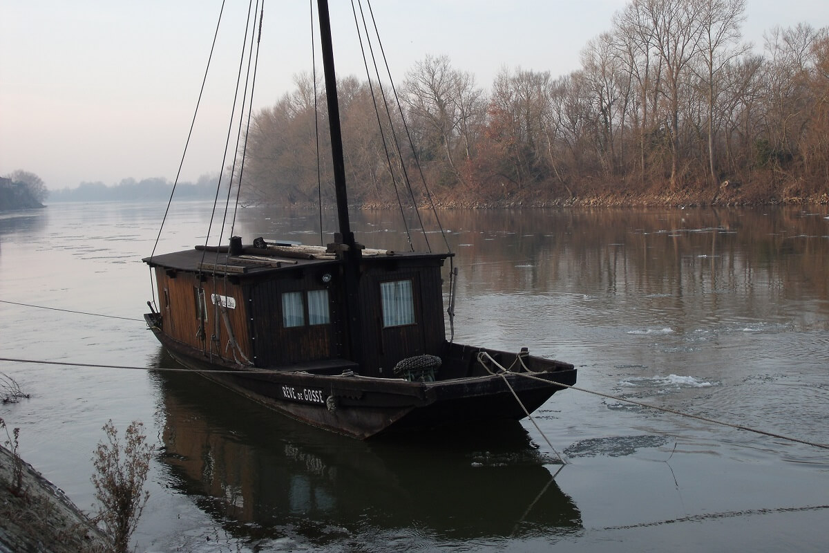 photo loire à chalonnes.JPG